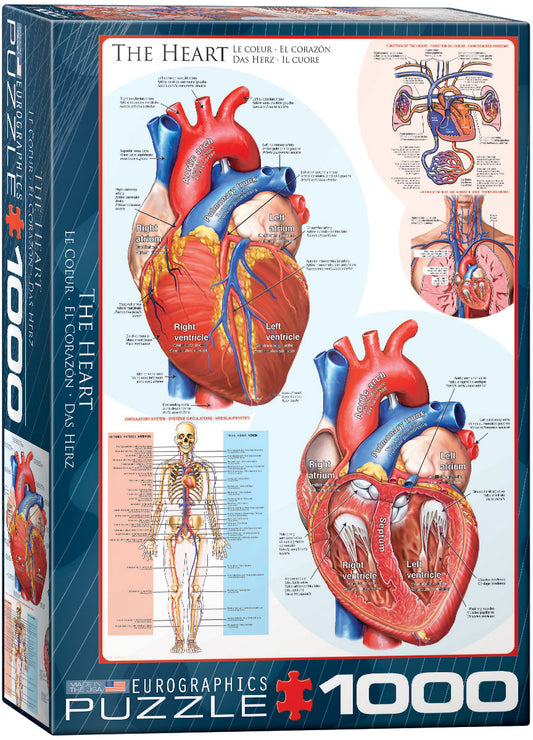 The Heart — 1000 Piece