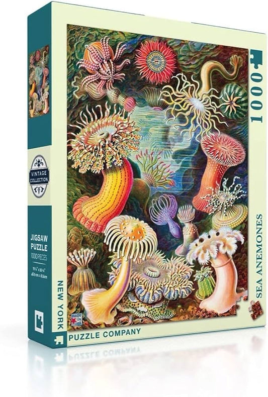 Sea Anemones — 1000 piece